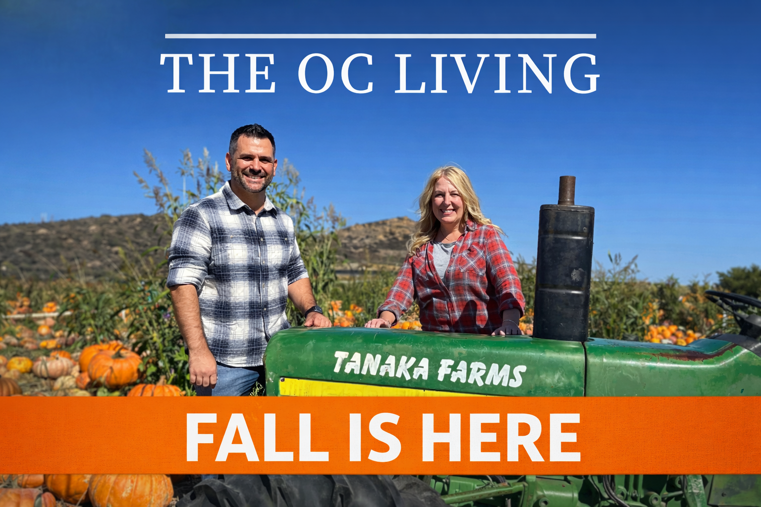 [your image description]